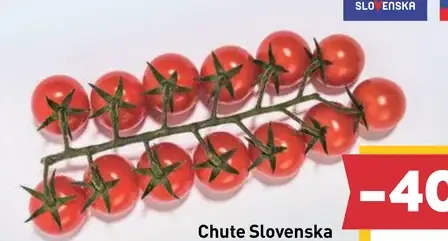 Chute Slovenska rajčiaky cherry Čerinka, Tramezzino, DRC