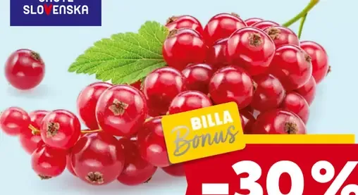 Chute Slovenska ríbezle červené