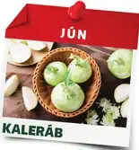Slovenský kaleráb