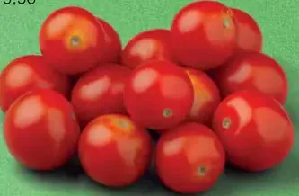 Bio cherry paradajky balené