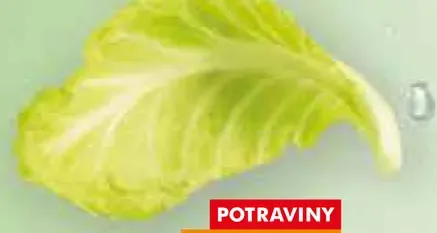 Nektárinky žltomäsité ukladané