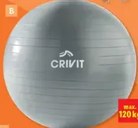 Crivit fitnes sortiment gymnastická lopta