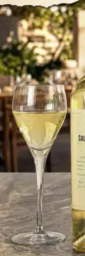 Sauvignon Blanc Verdelho 2023, suché biele víno z Portugalska