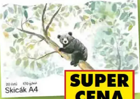 Skicár