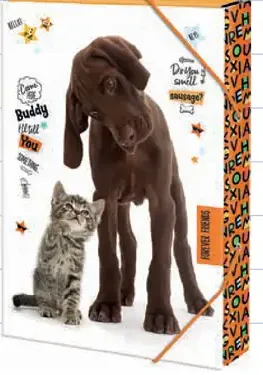 Forever Friends školský box na zošity