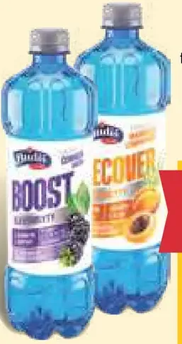 Budiš Boost/Recover funkčná minerálna voda – 2 druhy