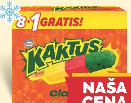 Kaktus multipack