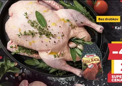 Hungerit kačica, chladená
