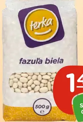 Terka biela fazuľa