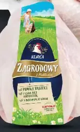 Zagrodowy farmárske kura bez drobov