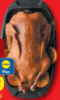Kačica celá s drobkami