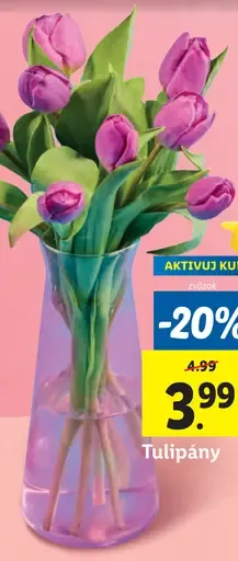 Tulipány