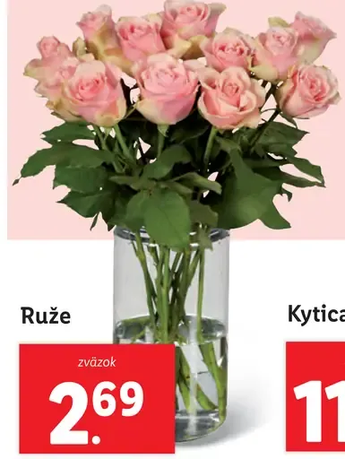 Ruže