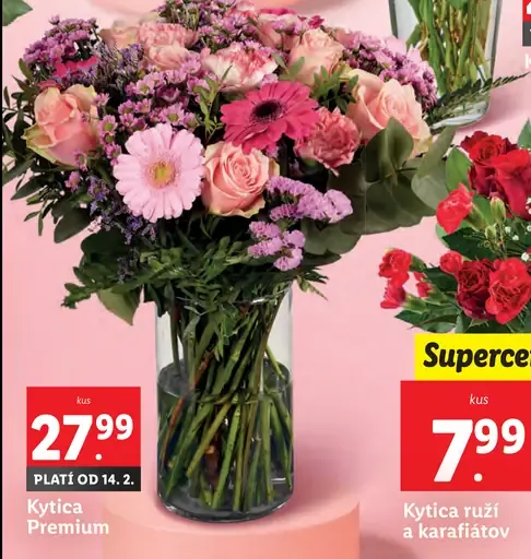 Kytica Premium