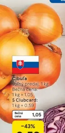 Cibuľa