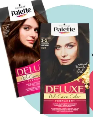 Schwarzkopf Palette Deluxe farba na vlasy Medený 6-70 (667)