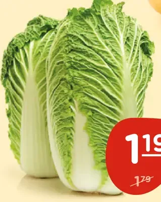 Kapusta čínska voľná