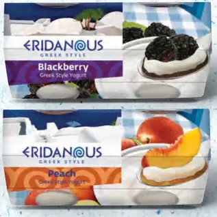 Eridanous Ovocný jogurt