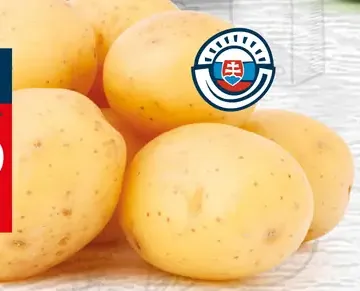 Zemiaky konzumné žlté neskoré prané