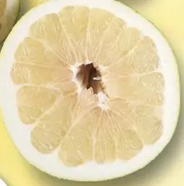 Pomelo