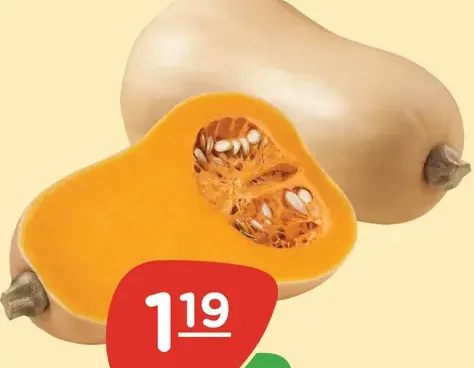 Tekvica maslová voľná