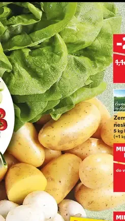 Zemiaky konzumné neskoré neprané