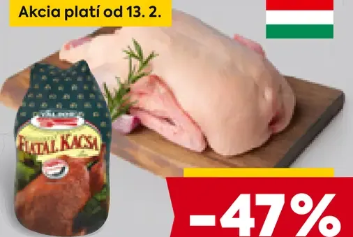 Kačica mladá bez drobkov