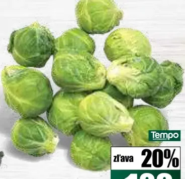 Tempo Kel ružičkový