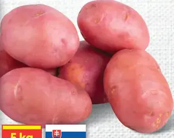 Konzumné zemiaky ružové neskoré