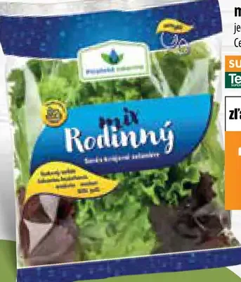 Mix rodinný šalát