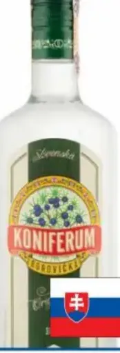 Borovička Koniferum