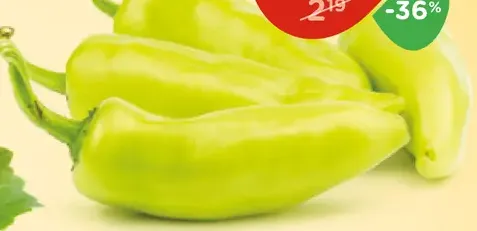 Paprika pálivá