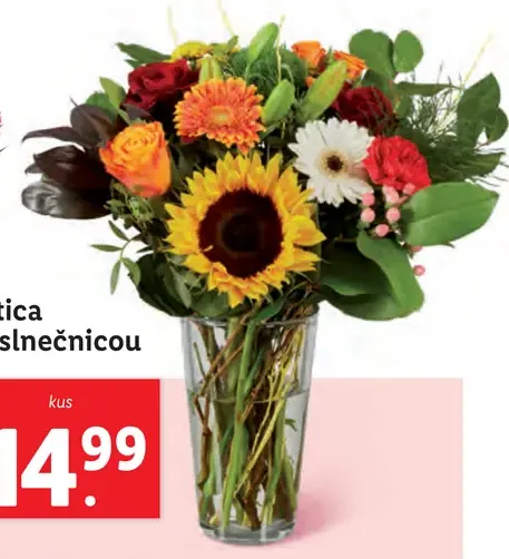 Kytica so slnečnicou