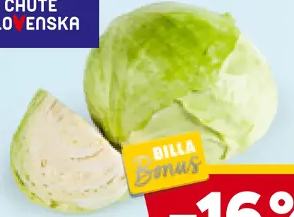 Chute Slovenska kapusta biela