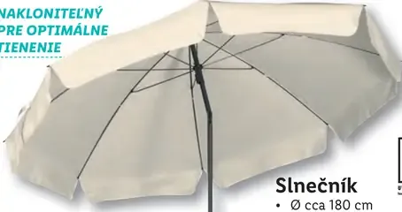 Slnečník