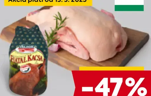 Kačica mladá