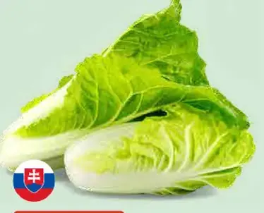Kapusta pekinská