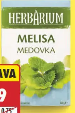 Herbarium žihľava/medovka