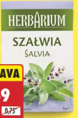 Herbarium šalvia