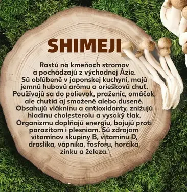 Huby Shimeji