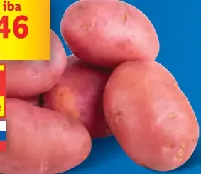 Konzumné zemiaky ružové neskoré
