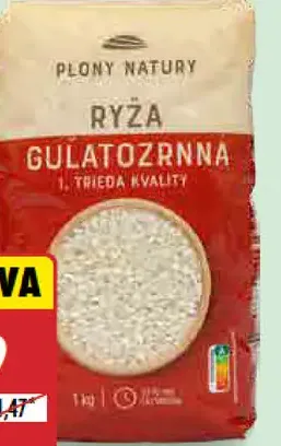 Plony Natury ryža guľatozrnná 1. trieda kvality