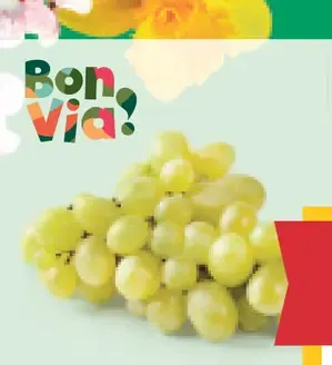 Bon Via hrozno biele bezjadierkové