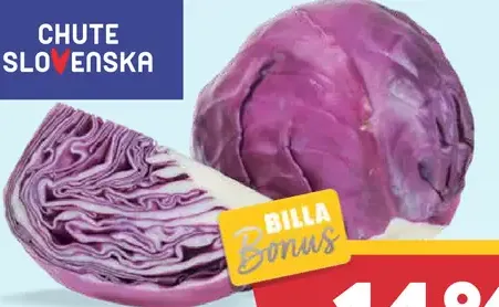 Chute Slovenska kapusta červená