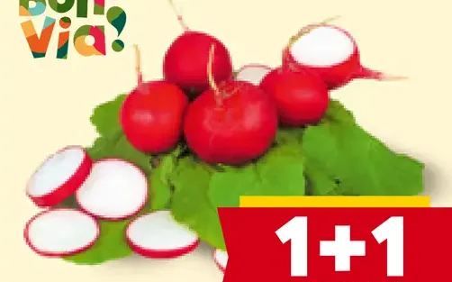 Bon Via reďkovka červená