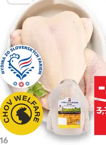 Slovenské farmárske kura
