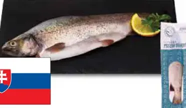 Pstruh dúhový pitvaný