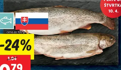 Pstruh pitvaný