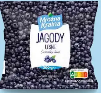 Mrożna kraina Čučoriedky lesné