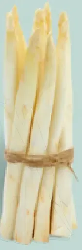 Špargľa biela